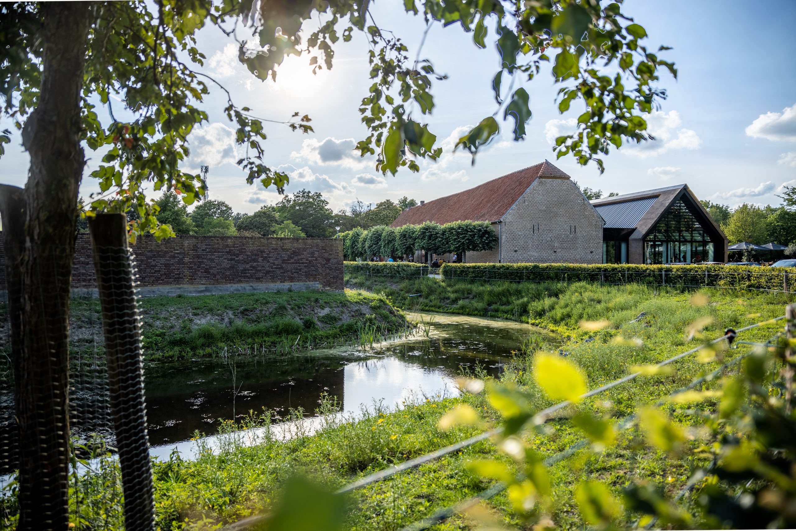 Rijke omgeving